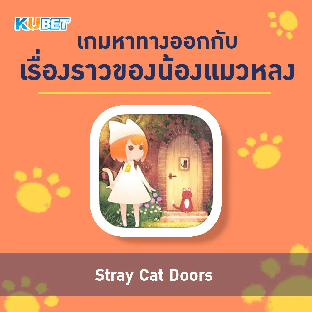 Stray Cat Doors - KUBET Game