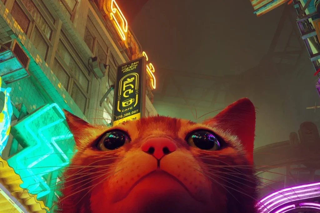 "เกม stray" เกมผจญภัยด้วยการสวมบทบาทเป็นแมว By KUBET
