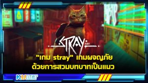 "เกม stray" เกมผจญภัยด้วยการสวมบทบาทเป็นแมว KUBET