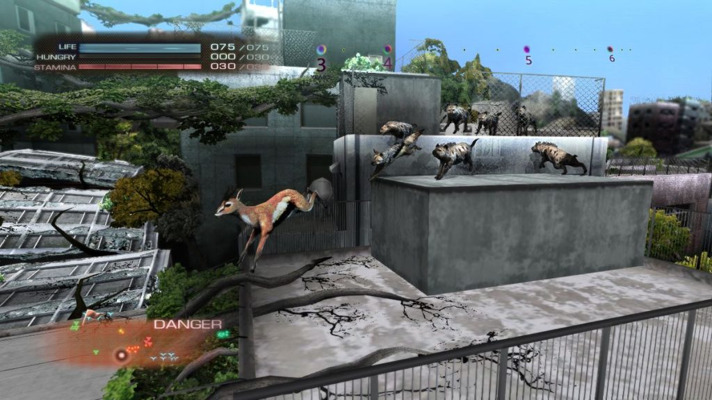รีวิวเกม "tokyo jungle"  เกมต่อสู้แนวแอคชั่นเอาชีวิตรอดแบบสยองขวัญ By KUBET