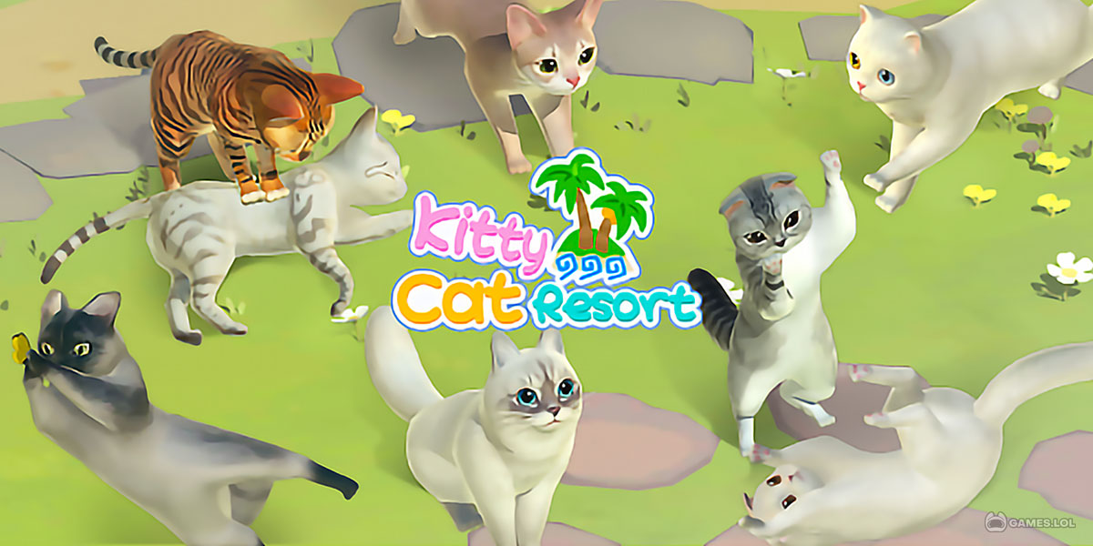 Kitty Cat Resort KUBET