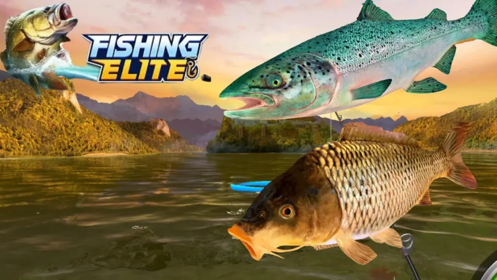 Fishing Elite - KUBET